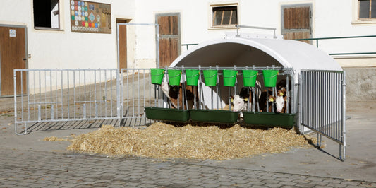 Borjú CalfHouse Premium XXL