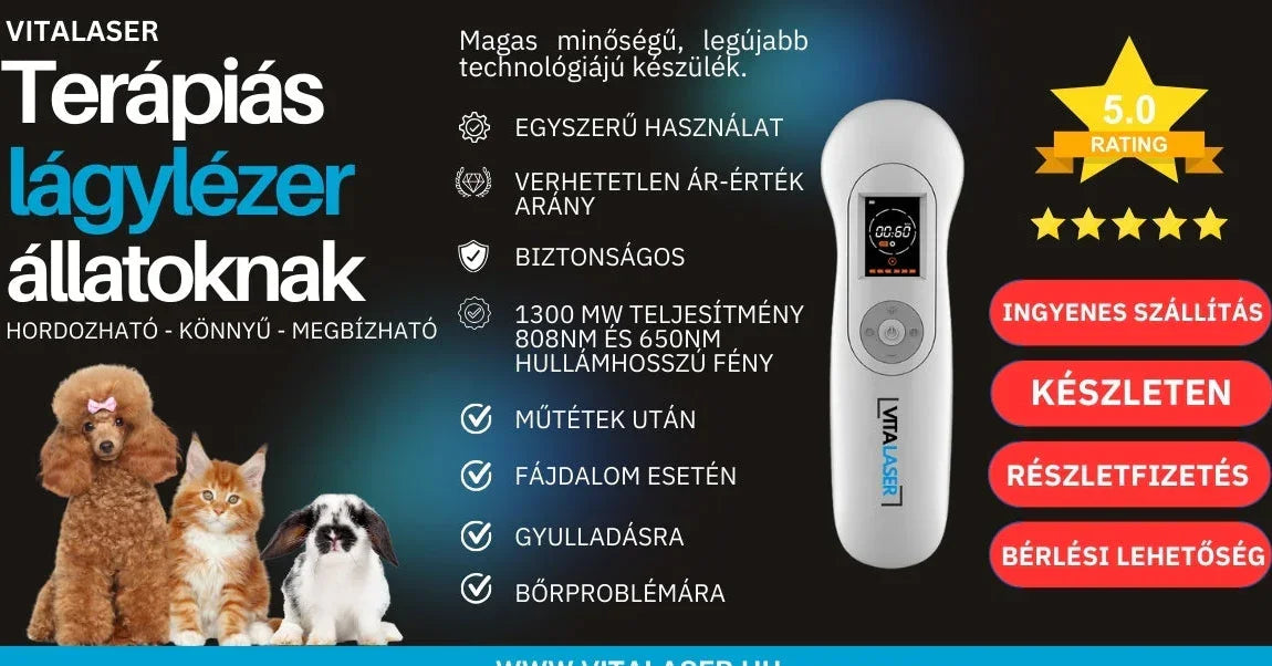 Vitalaser 1300 mW lágylézer BÉRLÉS