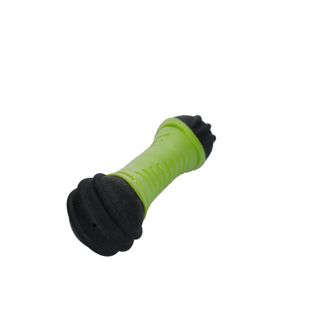 Dog Comets Asteroid Fetch Stick L Green