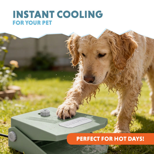 Coolpets Splash Vízi Szökőkút Olíva zöld