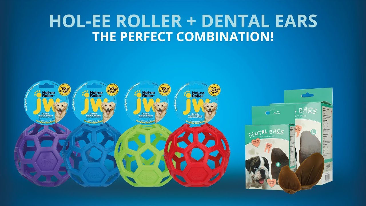 Dental Ears Medium 48 pcs