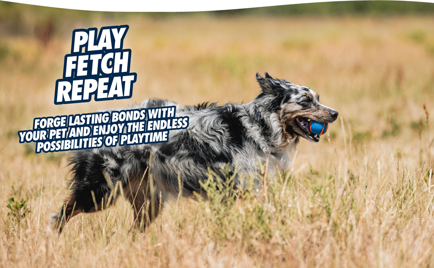 Chuckit! Ultra Squeaker Ball M (2-pack)