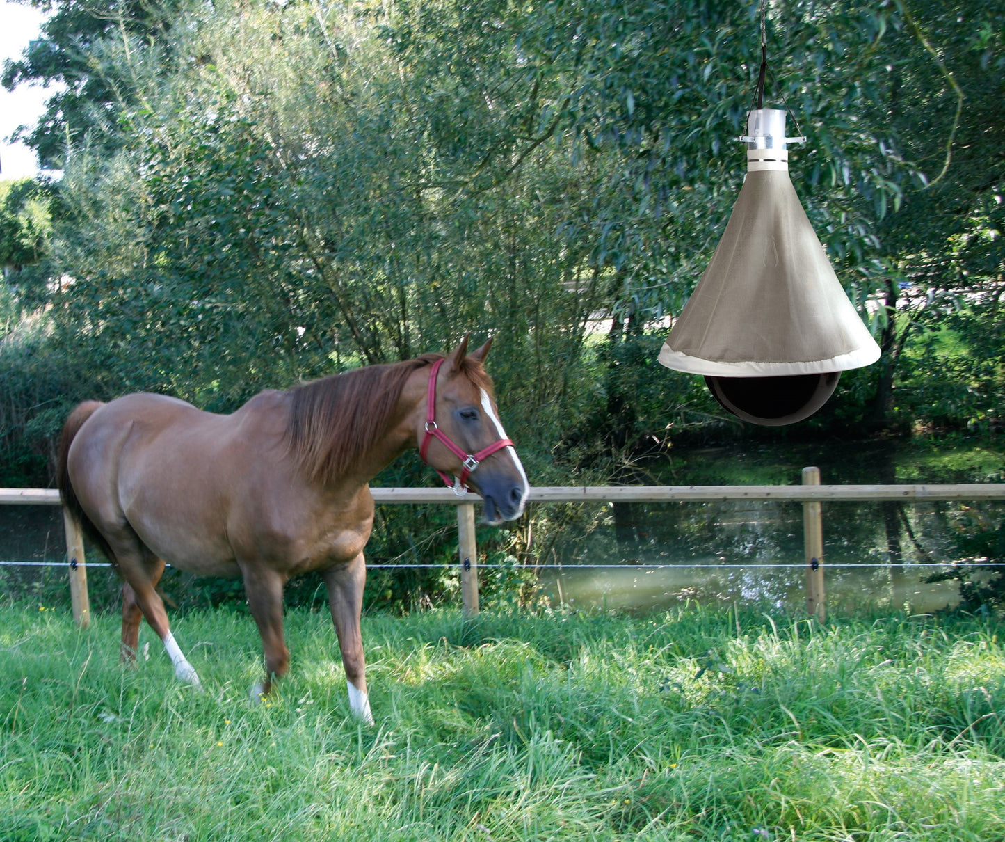 TaonX Horsefly Trap Eco