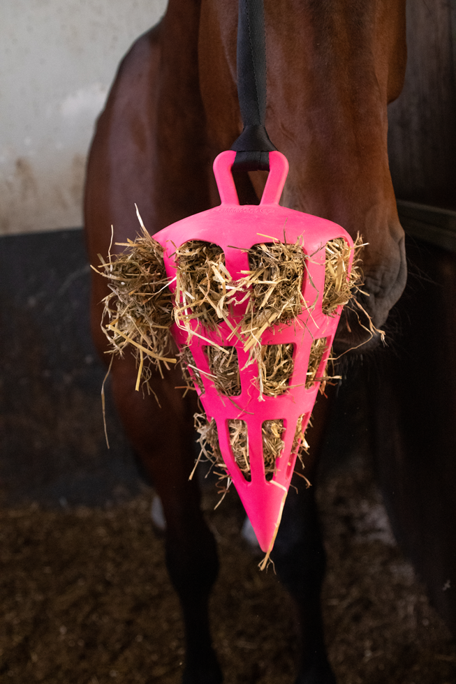 Hay Slow Feeder Fun & Flex Carrot Pink