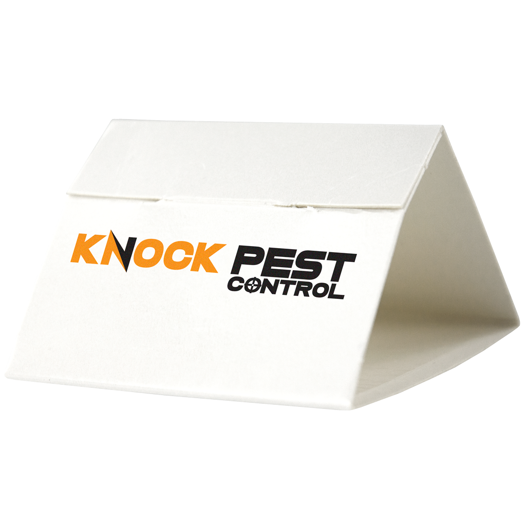 Knock Pest Silverfish Trap Delta