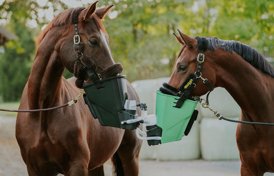 Hartwig professzionális inhalátor BÉRLÉS
