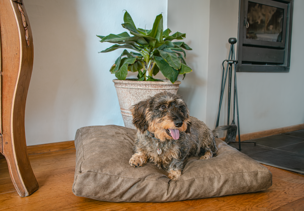 Let's Sleep Plush Pillow Dog Bed XL Cognac