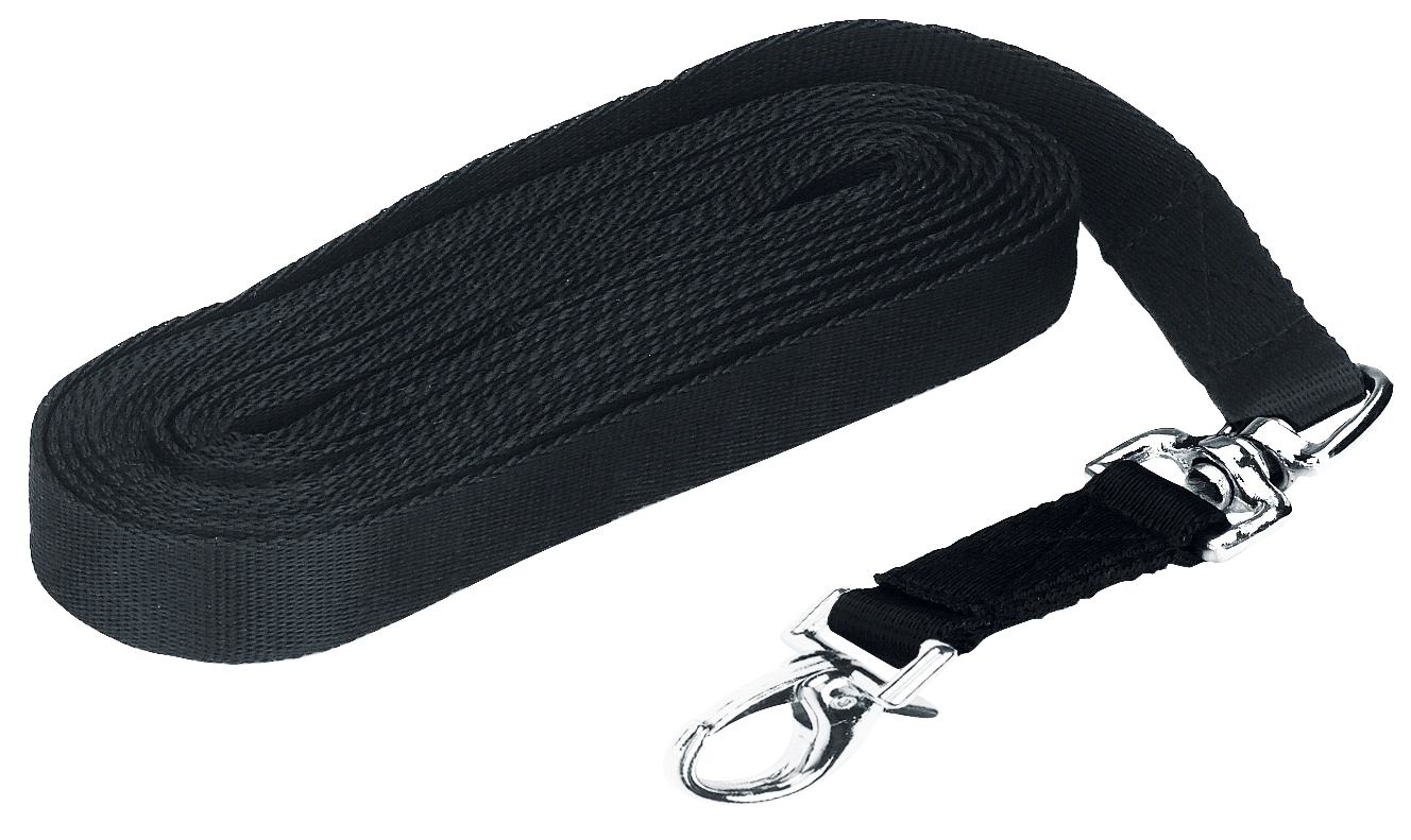 Lunge lux black with snap hook