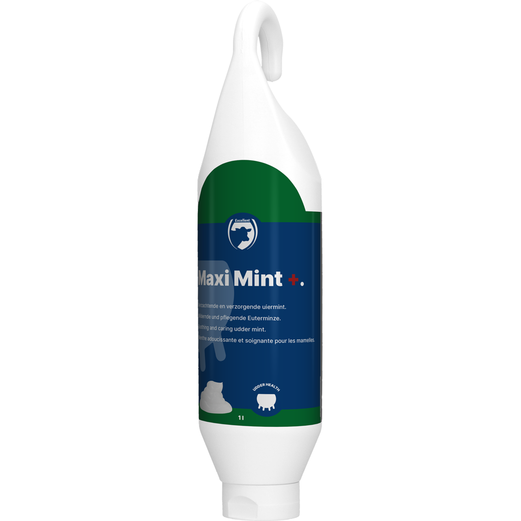 Excellent Maxi Mint+ Standing/Hanging Tube 1 l