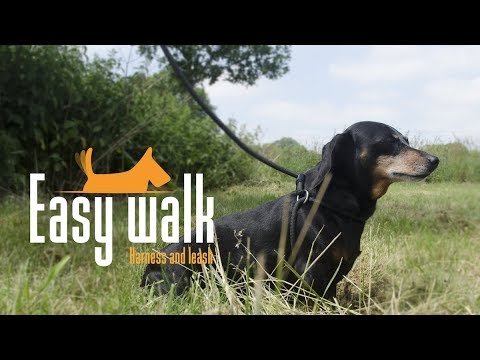 Easy Walk Shoulder Model Black - Regular