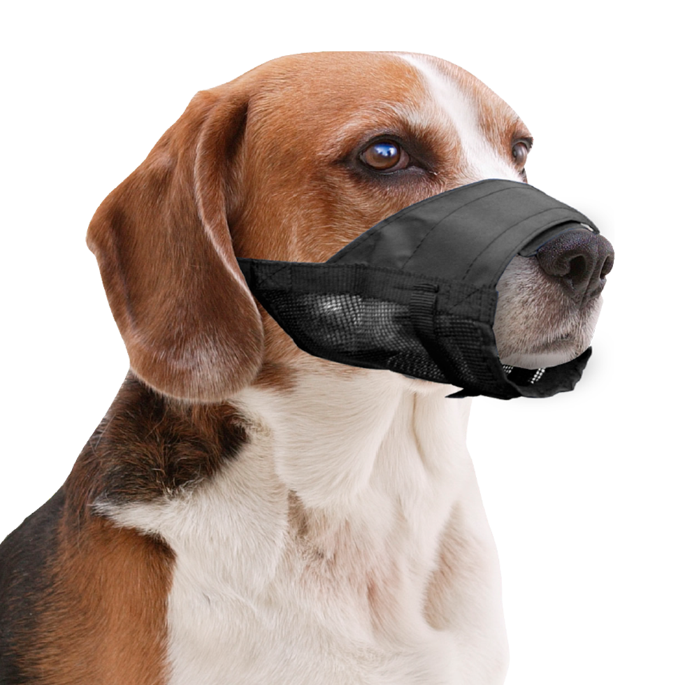 Pawise Adjustable Nylon Muzzle L
