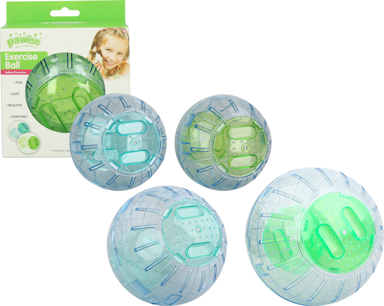 Pawise Exercise Ball S - 13 cm