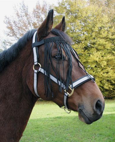 Fly Fringe Strap Full Pony