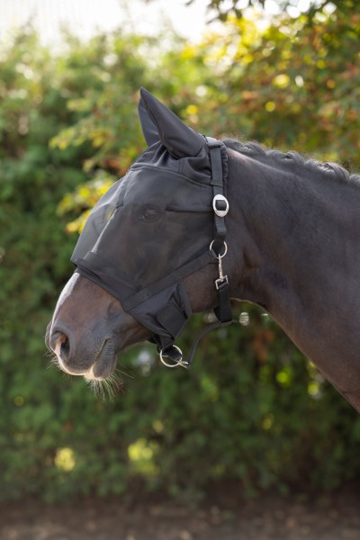Halter with integrated fly mask Pony