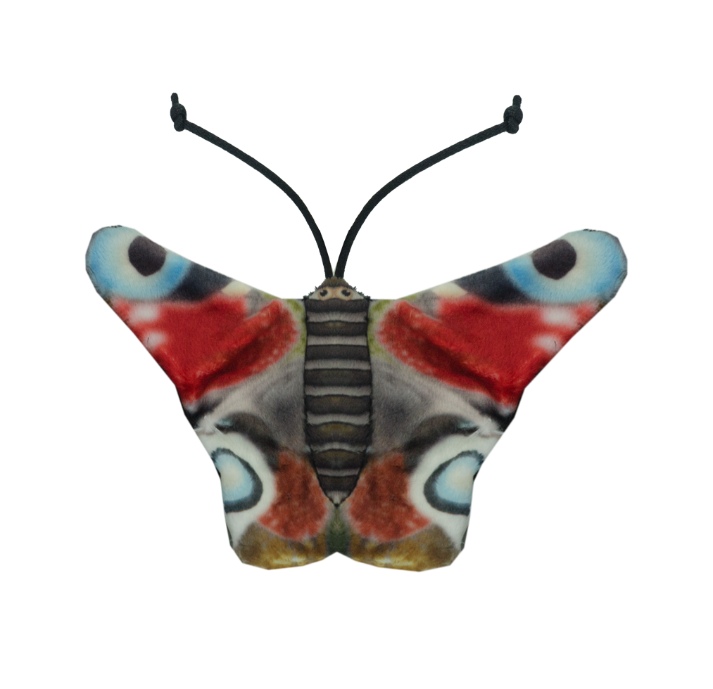 Wild Life Cat Peacock Butterfly