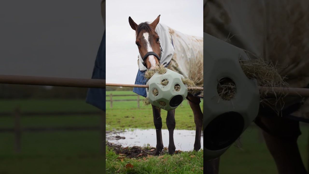 Excellent Horse Feed & Play Ball Black