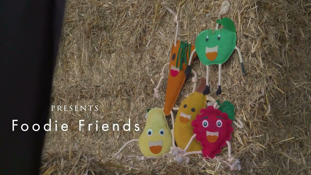 Excellent Horse Foodie Friends Carrot
