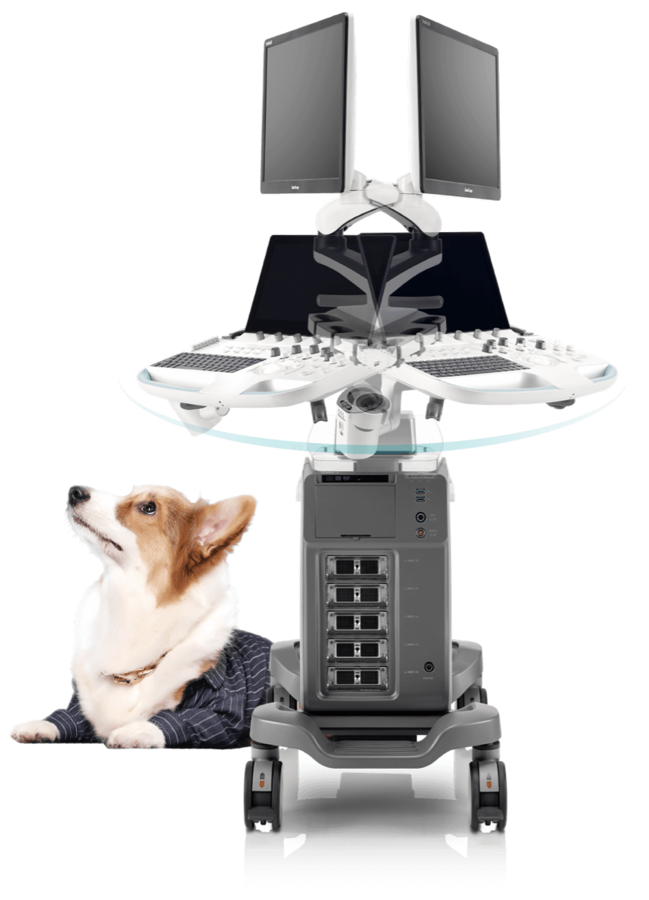 SonoScape ProPet 70 színes dopler ultrahang