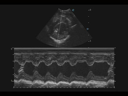 Sonoscape X5V színes, hordozható, Doppler ultrahang lóspecifikus szoftverrel