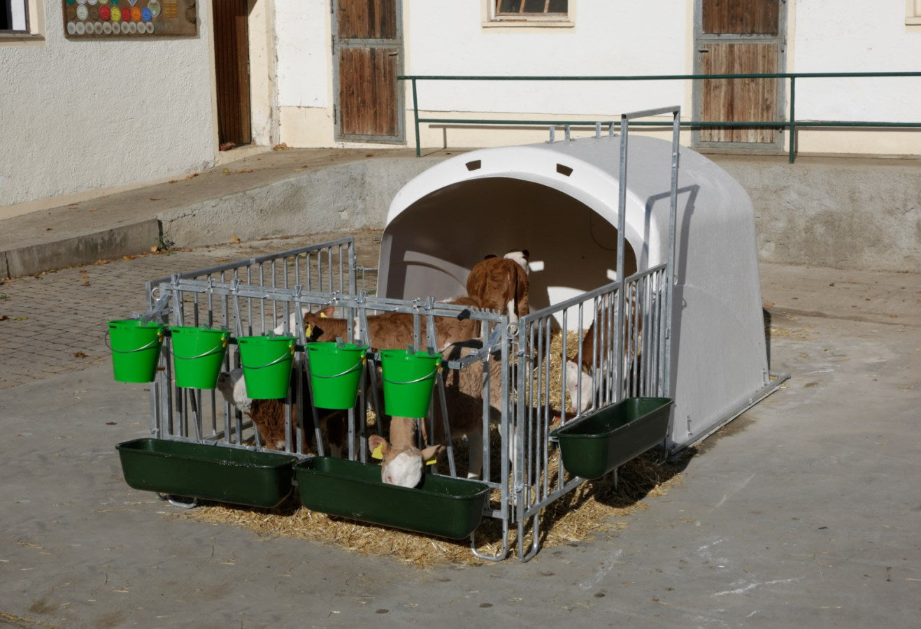 CalfHouse Premium XL borjúház