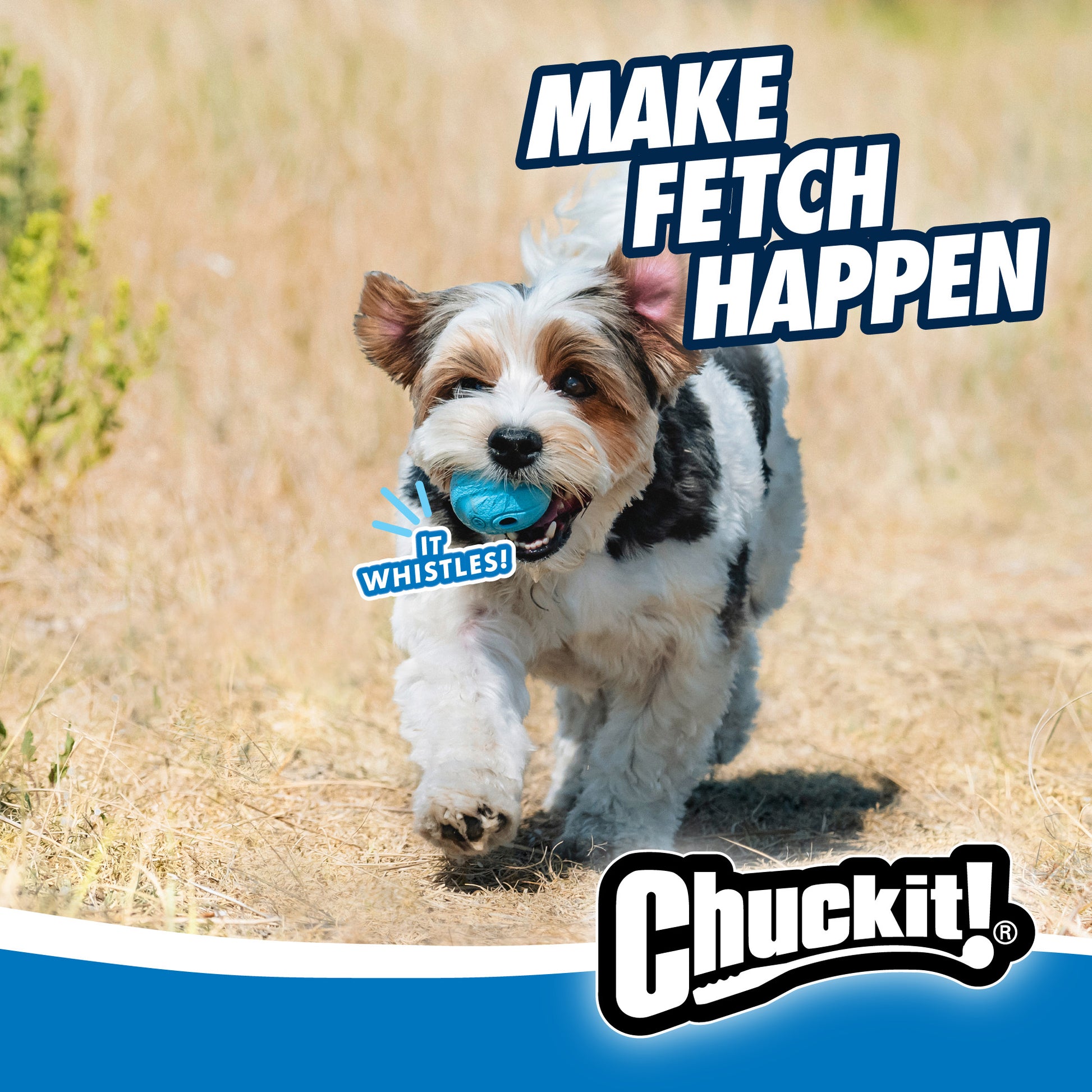 Chuckit! The Whistler M (2-pack)