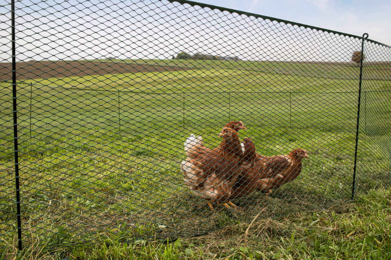 Univerzális mobil kerítés