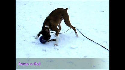 Jolly Romp-n-Roll Red M (15 cm)