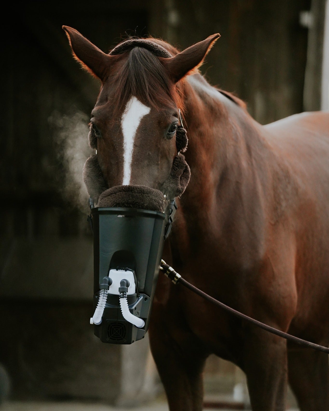 Hartwig professzionális inhalátor BÉRLÉS