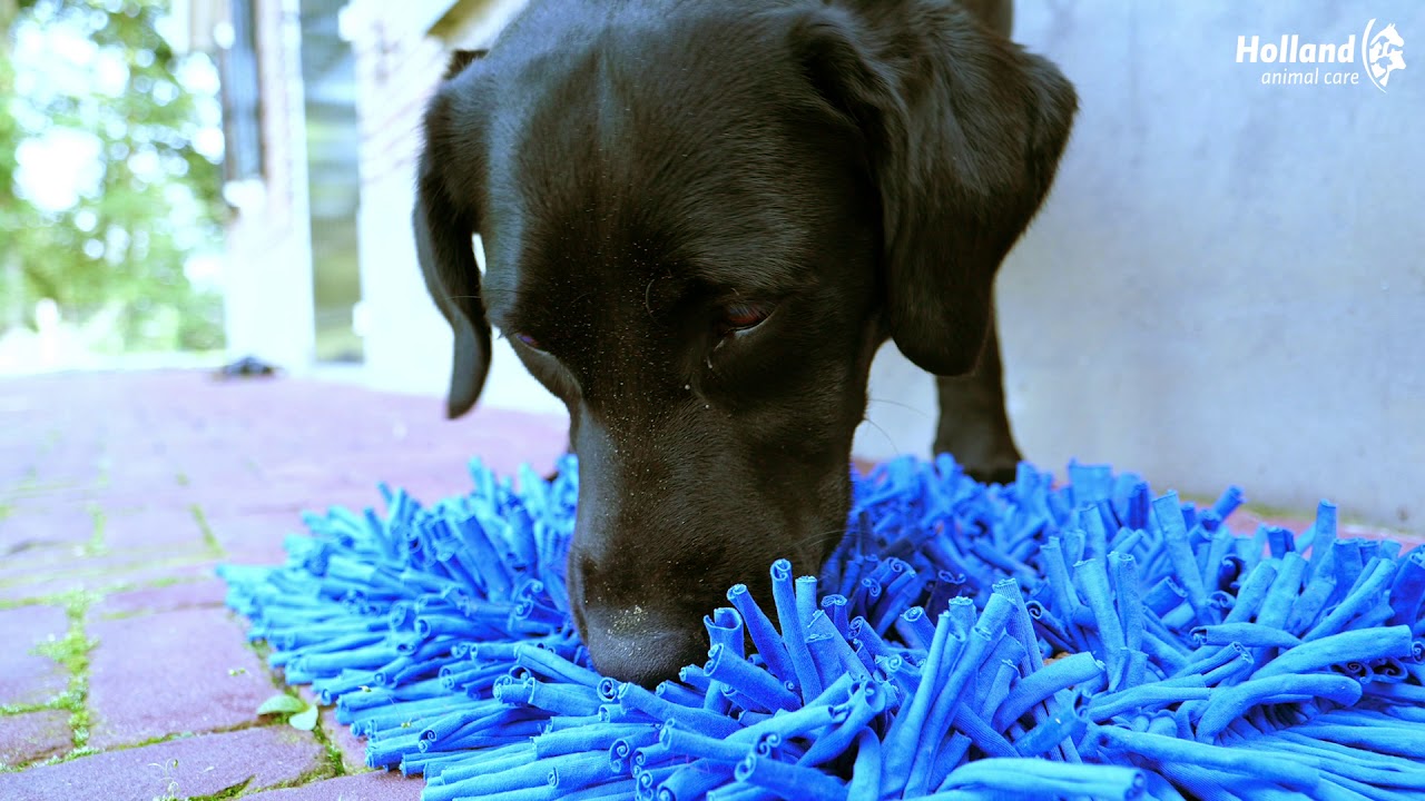 Eat Slow Live Longer Play Mat Grey