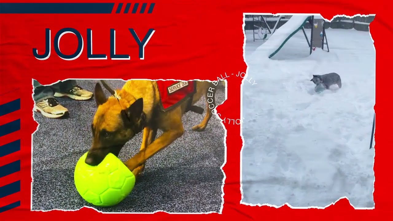 Jolly Soccer Ball Orange/White L (20 cm)
