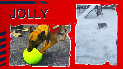 Jolly Soccer Ball Orange/White L (20 cm)