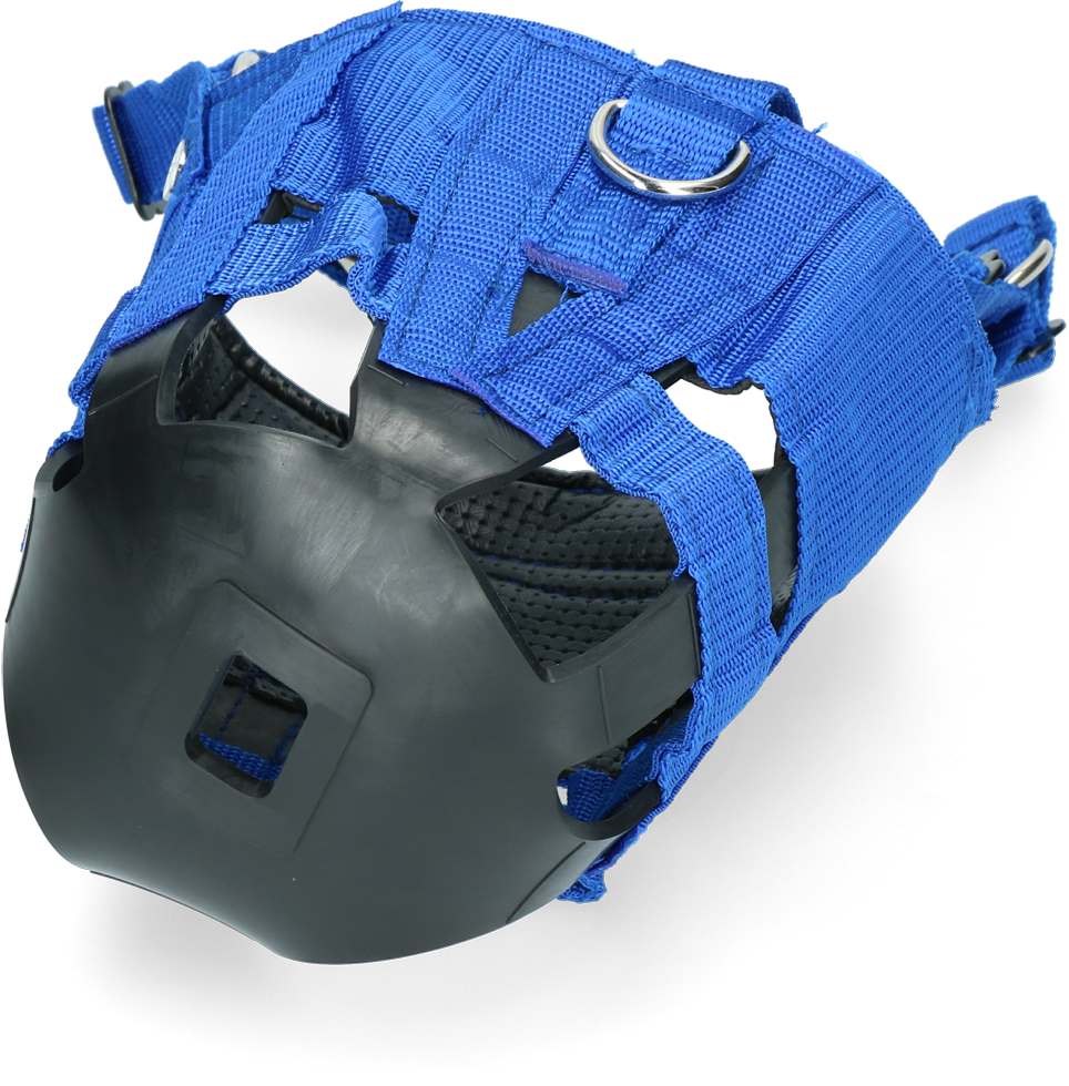 The Ultimate Muzzle Pony