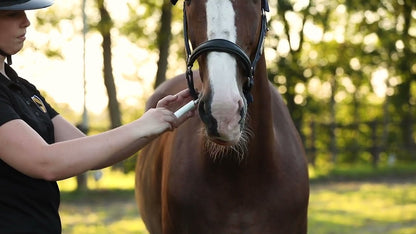 Excellent Horse Vitasporal 12 ml