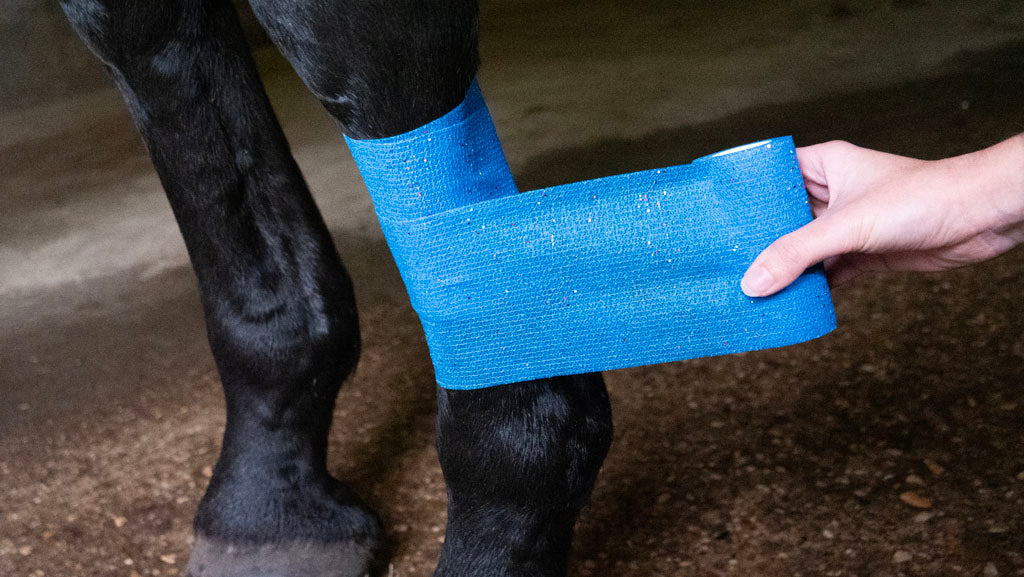 Excellent Animal Glitter Bandage Pro 10 cm - Blue