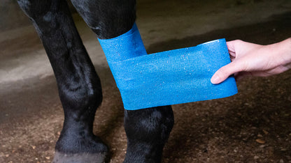 Excellent Animal Glitter Bandage Pro 10 cm - Blue