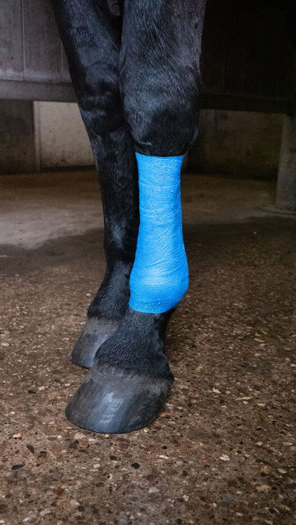 Excellent Animal Glitter Bandage Pro 10 cm - Blue