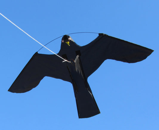 Birdshield tartalék pajzs