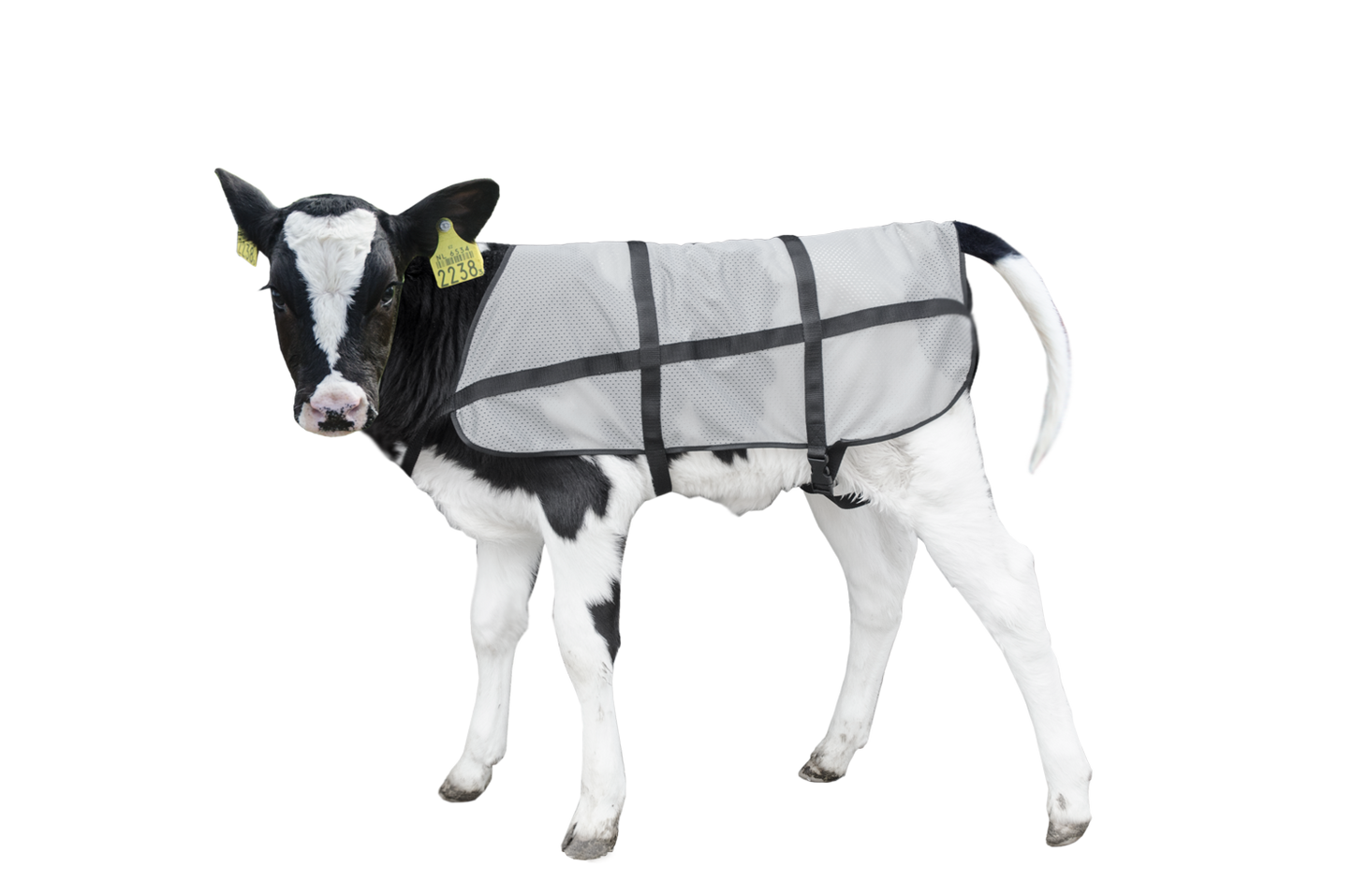 Bodyguard Calf Summer Blanket