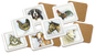 Boerenwinkel Coasters