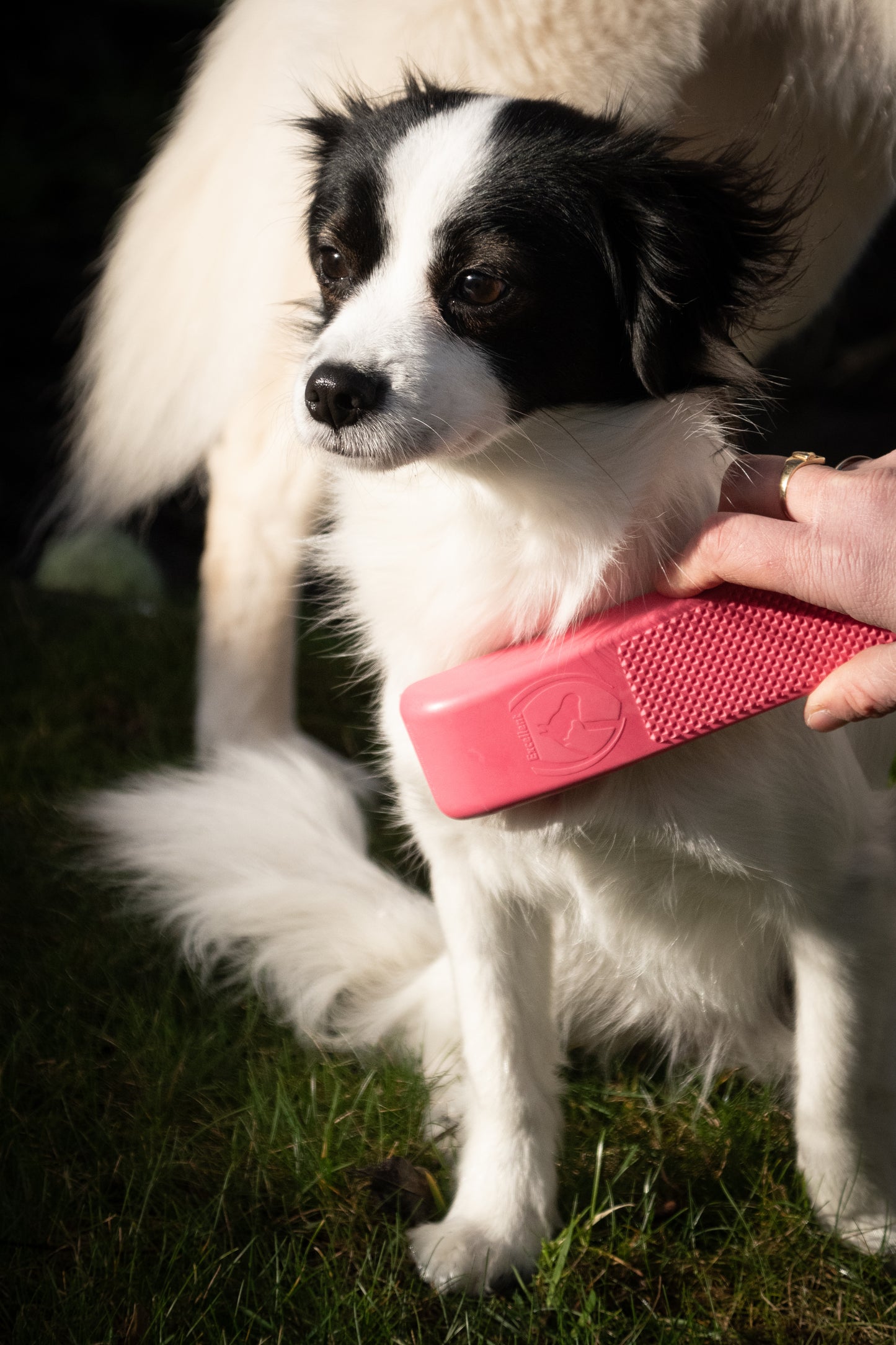 Excellent Pets Grooming Brush Medium Pink