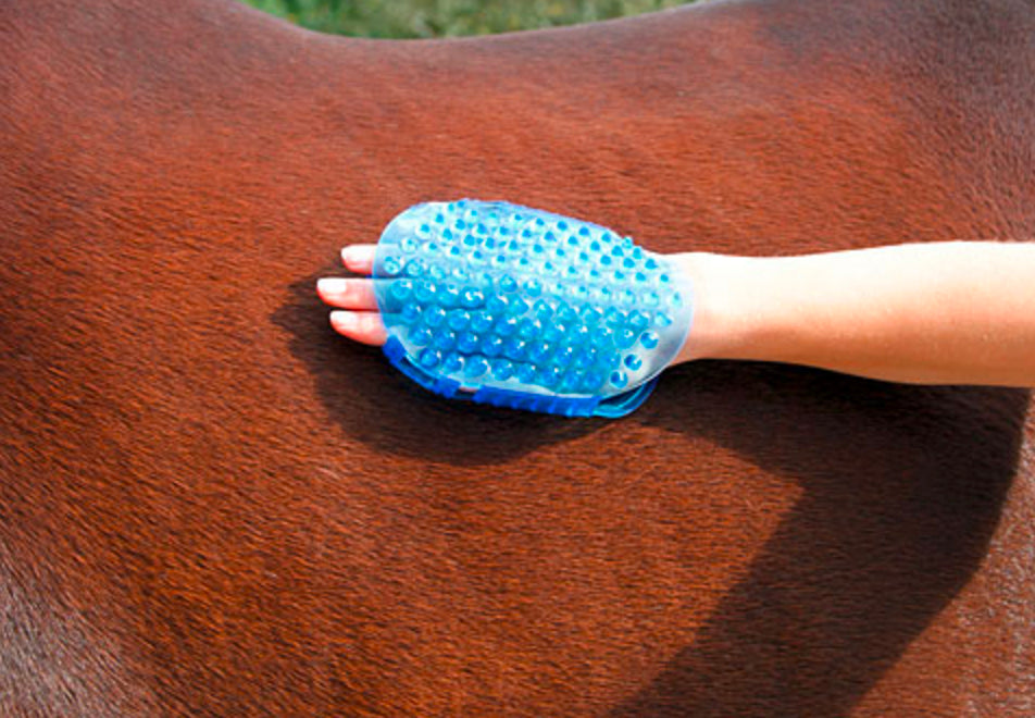 Brush magnetic massage Blue