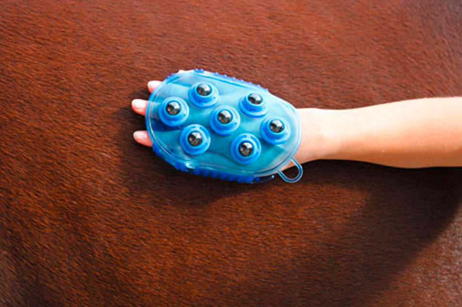 Brush magnetic massage Blue