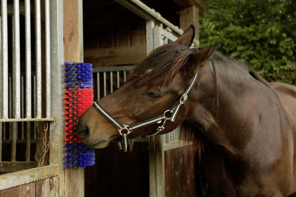 Brush for horse, cattle, goat