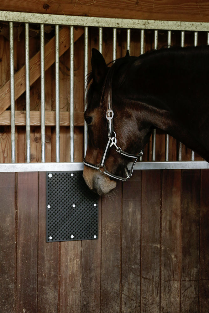 Scratch mat for Horse, Calf, Goat 40 x 30 cm