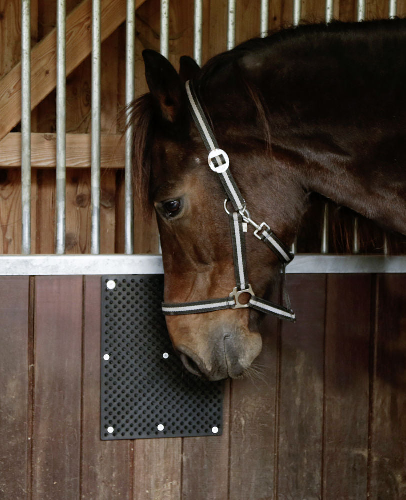 Scratch mat for Horse, Calf, Goat 40 x 30 cm