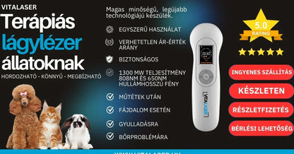 Vitalaser 1300 mW lágylézer BÉRLÉS