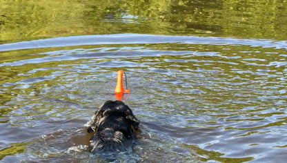 Dog Comets Bobber Green