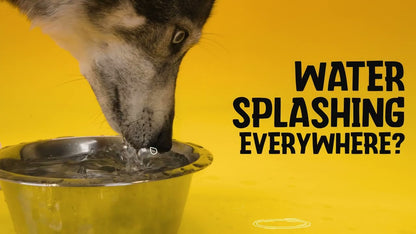 Excellent Pets No-Spill Bowl 300ml Green S