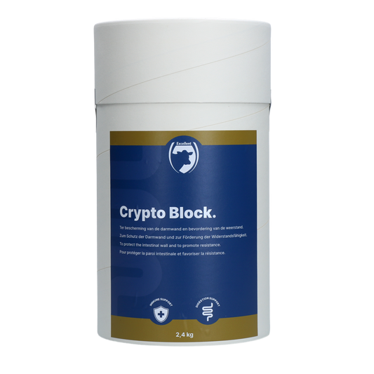 Kiváló Kripto Blokk 2,4 kg