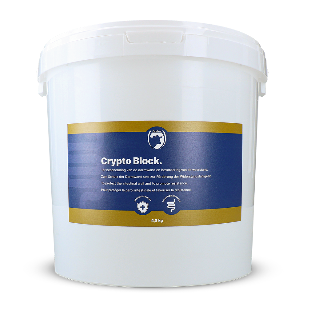 Excellent Crypto Block 4.8 kg